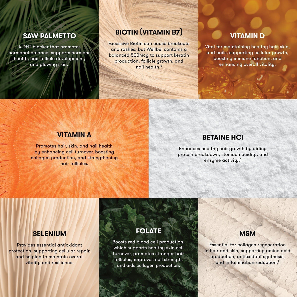 Wellbel Women Supplement